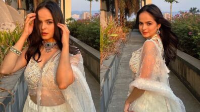 Palak Sindhwani melts hearts in shimmery see-through lehenga, we are in love