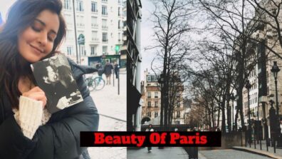 Raashii Khanna Shared Pictures Of Herself While Enjoying The Beauty Of Paris