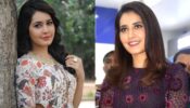 Raashii Khanna loves to use natural remedies over high end cosmetic products
