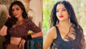 Reem Sameer Shaikh is ultimate stunner in shimmery deep-neck blouse and lehenga, Monalisa loves it