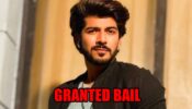 Sheezan Khan granted bail in Tunisha Sharma suicide case 780332