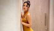 Shehnaaz Gill glows in ochre bodycon midi dress