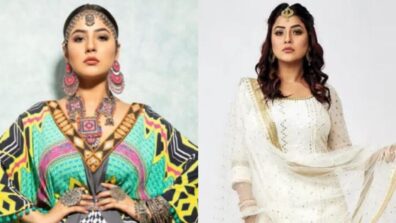 Shehnaaz Gill’s Snazzy Styles In Unique Traditional Outfits
