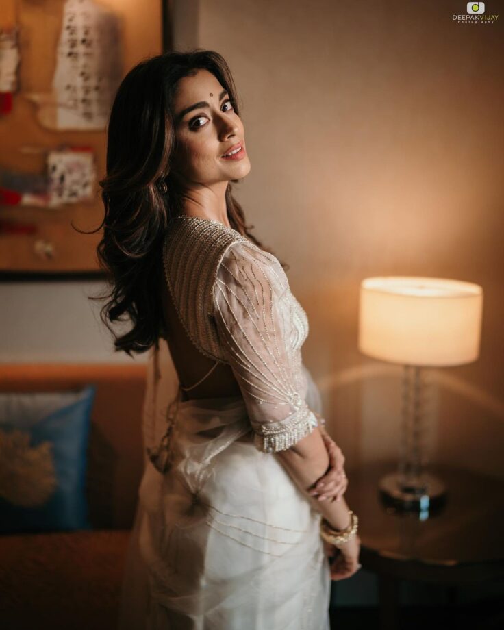 Shriya Saran Minimally Ups Her Ethnic Game In Monotone Sheer Sarees 791187