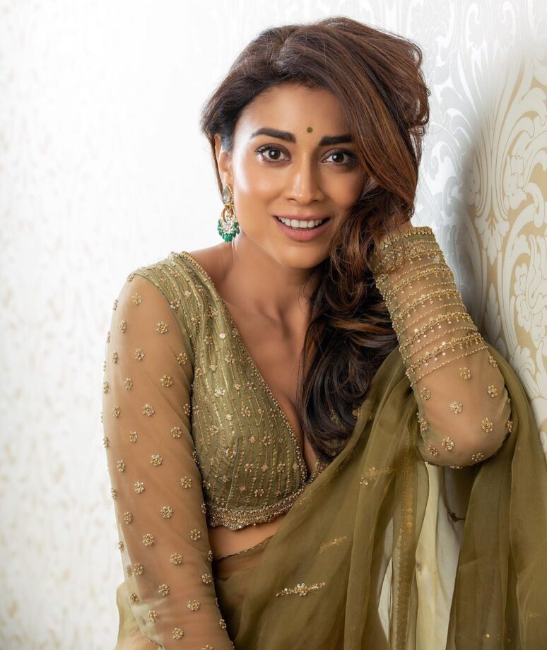 Shriya Saran Minimally Ups Her Ethnic Game In Monotone Sheer Sarees 791191