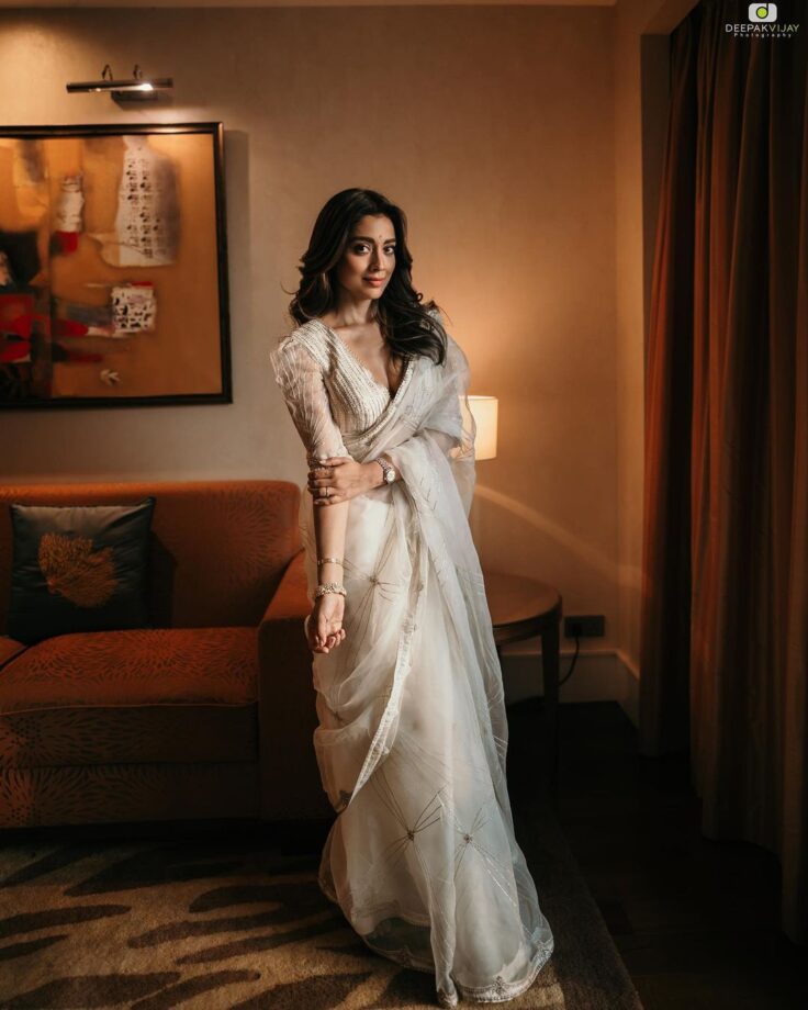 Shriya Saran Minimally Ups Her Ethnic Game In Monotone Sheer Sarees 791186