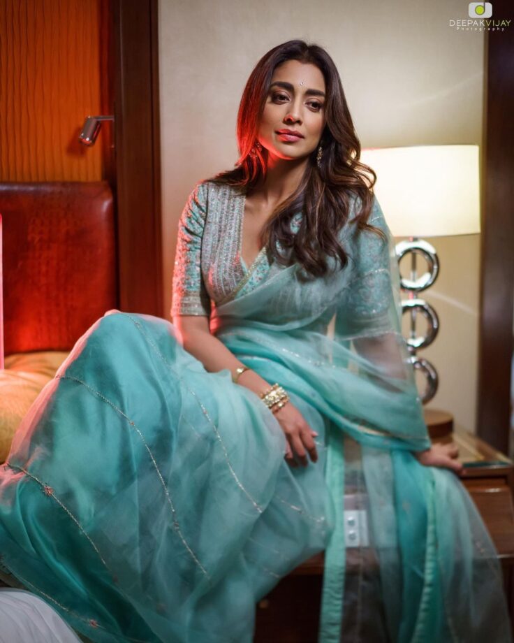 Shriya Saran Minimally Ups Her Ethnic Game In Monotone Sheer Sarees 791194