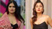 Sona Mohapatra lashes out at Shehnaaz Gill, takes jibe at her for supporting Sajid Khan 778629