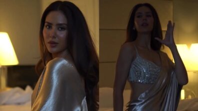 Sonam Bajwa dazzles in silver velvet saree, see full video