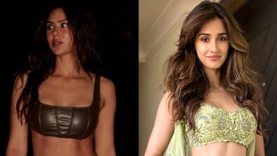 Sonam Bajwa raises heat in latex brown bralette and denims, Disha Patani feels the heat