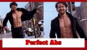 Tiger Shroff Shows His Perfect Six-Pack Abs Amid A Crazy Snow Storm; Check Here