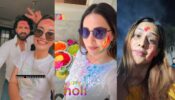 TV Divas Holi Celebrations: Surbhi Jyoti and Hina Khan get groovy with friends, Nia Sharma goes for some fam-jam