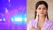 Uff Haye Garmi: Nia Sharma slays sensuous dance move with chair, Rubina Dilaik loves it