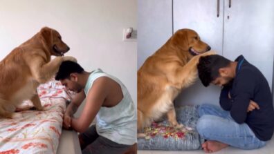 Viral Video: A Pet Golden Retriever Giving ‘Aashirwad’ To Its Human, Watch!