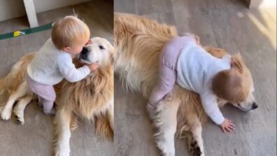 Viral Video: A Toddler Cuddling A Golden Retriever Will Definitely Make You Smile, Watch!