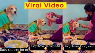 Viral Video: A Woman Performs Baby Shower For Her Pet Dog With Traditional Rituals