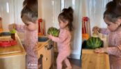 Viral Video: An Adorable Baby Girl Cutting Watermelon Will Make You Go ‘Aww’