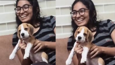 Viral Video: Anand Mahindra Shared Cute Clip Of A Dog Vibing To Classical Music