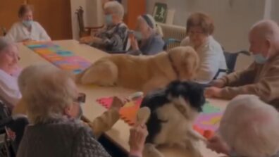 Viral Video: Dogs Bring Some Smile On Elderly People; Internet Is In Love!