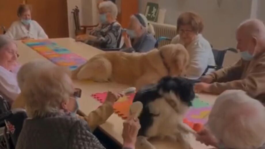 Viral Video: Dogs Bring Some Smile On Elderly People; Internet Is In Love! 789890