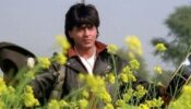 Watch Shah Rukh Khan’s Romantic Films