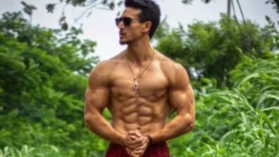 What makes Tiger Shroff the most inspiring fitness icon in Bollywood?