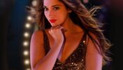 When Tamannaah Bhatia’s demand of 3.5 crores for a movie role shocked producer, read