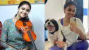 Wow: Keerthy Suresh Chennai Home Is Like A Dream