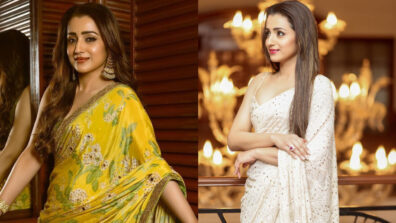 5 Times Trisha Krishnan Proved Her Ethnicity In Gorgeous Sarees