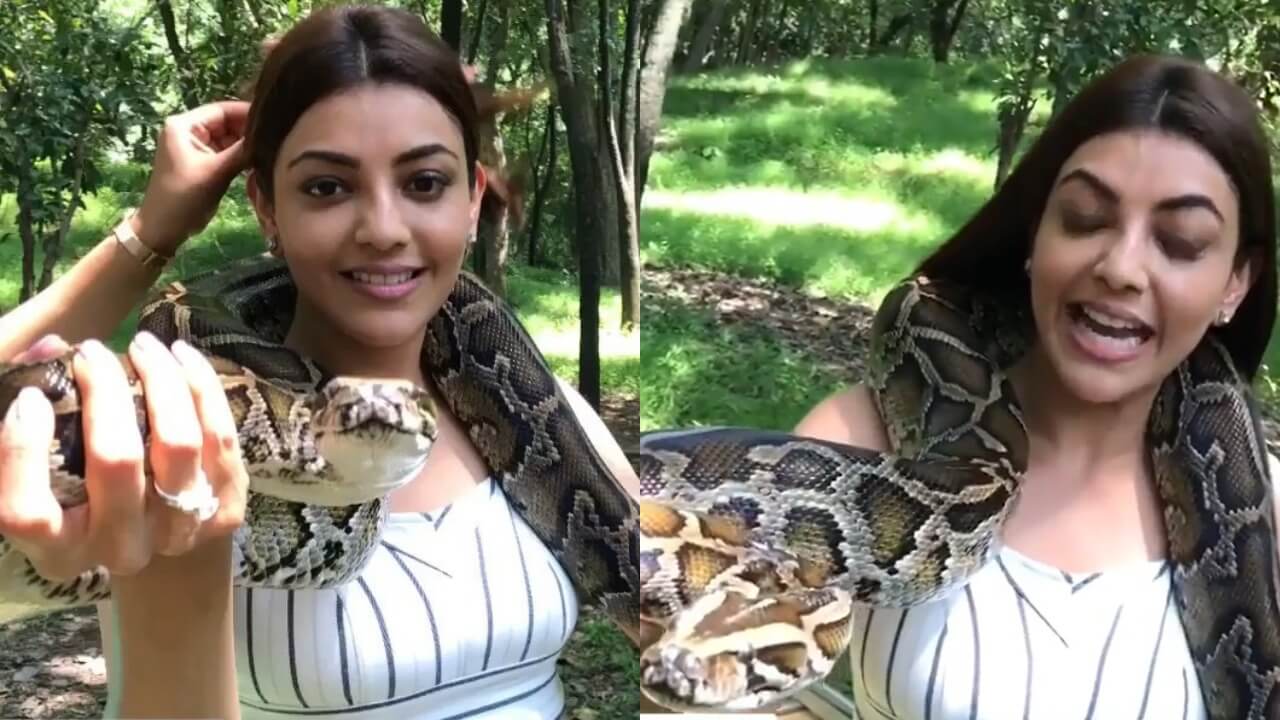 Don't Try This At Home: Kajal Aggarwal performs stunt with massive snake, video goes viral 798541