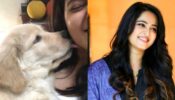 Anushka Shetty is ‘paw-struck’ for life