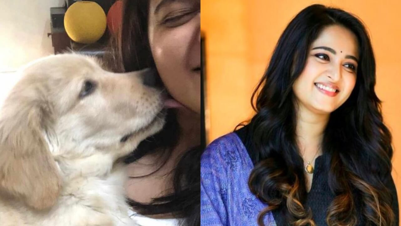 Anushka Shetty is 'paw-struck' for life 799844