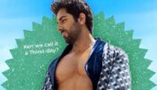 Ayushmann Khurrana joins global ‘barbie’ trend on Instagram, check out fun moment