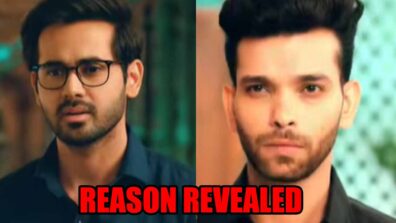 Bade Achhe Lagte Hain 2 spoiler: Reason behind Raghav and his brother Kapil’s cold war REVEALED