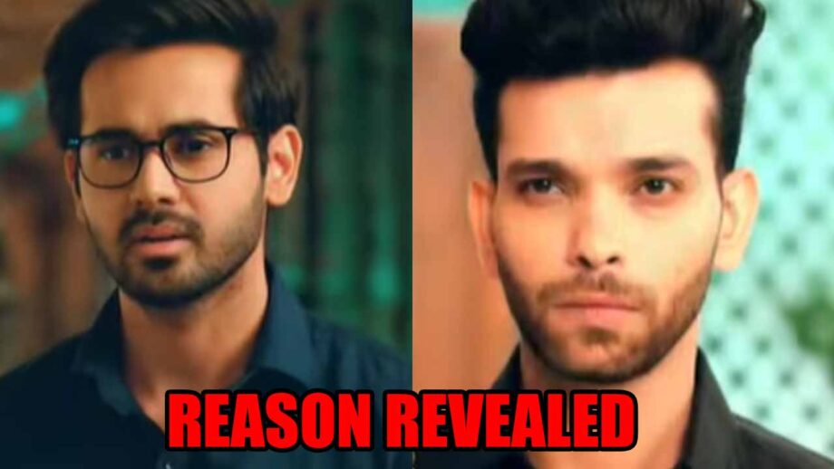 Bade Achhe Lagte Hain 2 spoiler: Reason behind Raghav and his brother Kapil’s cold war REVEALED 798715