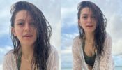 Check ASAP: Hansika Motwani in see-through white beach outfit and wet look
