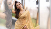 Check Out: Mimi Chakraborty Is The Ultimate Fashionista In Tan Colored Netted Saree