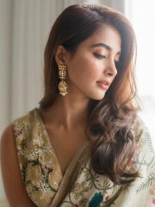 Stunning Sarees Ft. Pooja Hegde