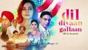 Dil Diyaan Gallaan: Dilpreet plays cupid in Veer and Amrita’s love story