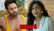 Dil Diyaan Gallaan: OMG! Dollar kidnaps Amrita