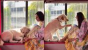 Divyanka Tripathi loves her ‘paw buddy’ unconditionally, (cute video alert)