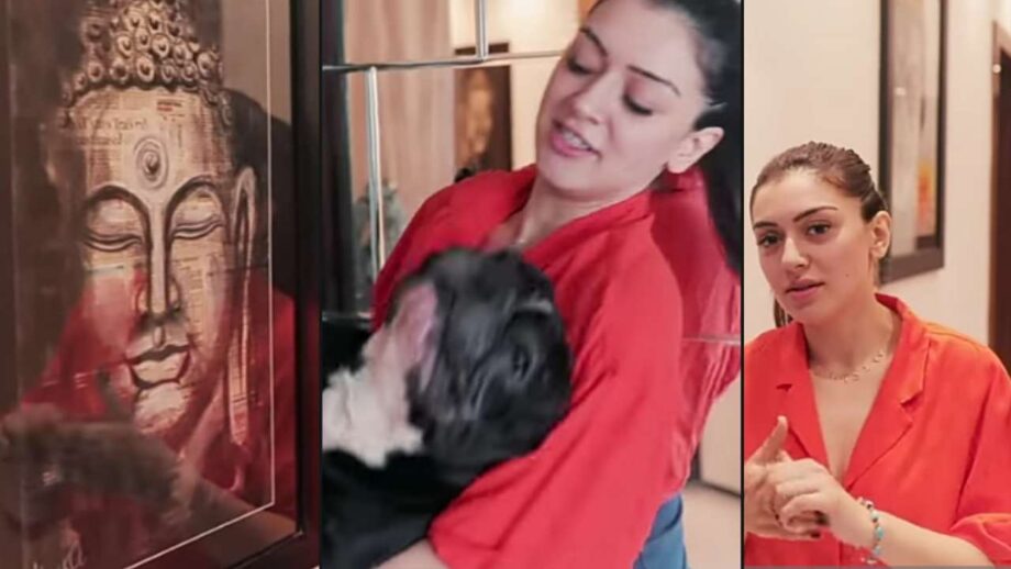 From Buddha Paintings to Cute Pet Dogs: Take a tour of Hansika Motwani's beautiful luxurious house 796111