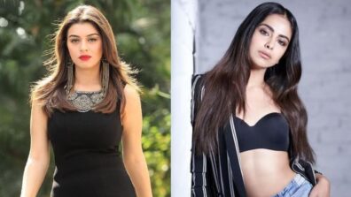 Hansika Motwani – Avika Gor: Television Stars Who Made Film Debut With South Cinema