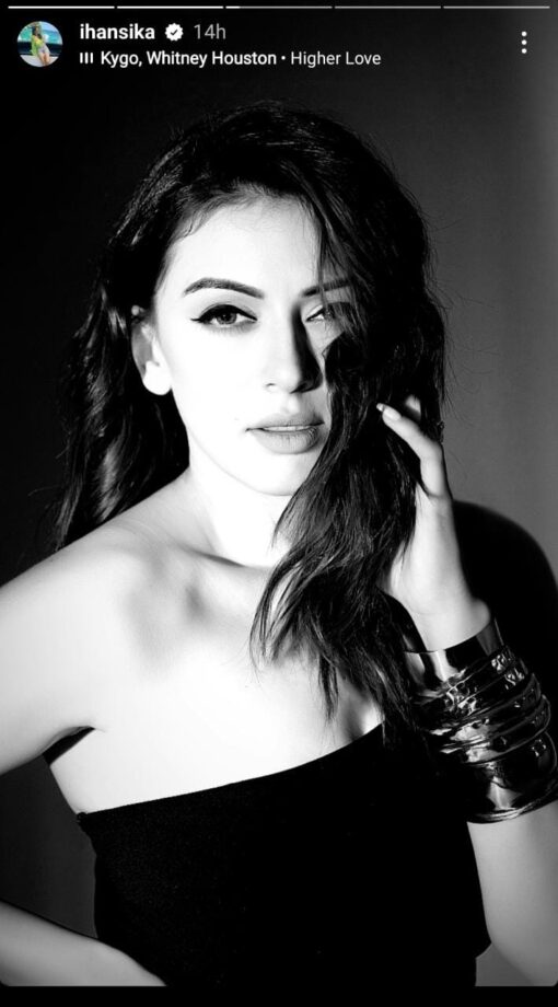 Hansika Motwani’s elegance gets a black boost, we are in awe 797923