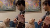 How Cute: Sumedh Mudgalkar plays guitar for his adorable pet dog, see full video