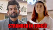 Hum Rahein Na Rahein Hum spoiler: Surilii and Shivendra get stranded in jungle