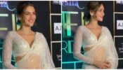 Kriti Sanon loves shimmery see-through saree avatar, check hot moment