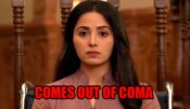 Maitree: Nandini comes out of coma
