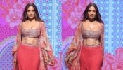 Malaika Arora takes over internet by storm on ramp, looks sizzling in deep-neck blouse