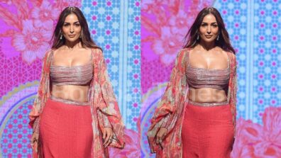 Malaika Arora takes over internet by storm on ramp, looks sizzling in deep-neck blouse